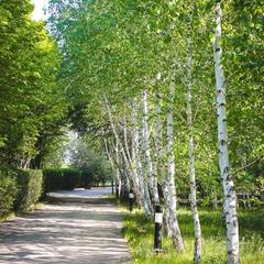 База отдыха Волжанка в Растопуловке, Растопуловка, Астраханская область
