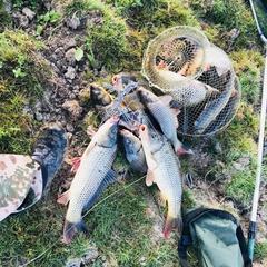 База отдыха Волжанка в Растопуловке, Растопуловка, Астраханская область