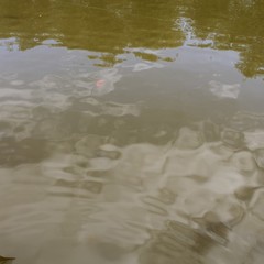 База отдыха Жемчужина Ахтубы, Болхуны, Астраханская область