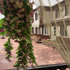 Гостевой комплекс Алмаз, Ахтубинск, Астраханская область