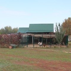 База отдыха Жемчужина Ахтубы, Болхуны, Астраханская область