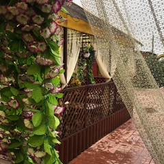 Гостевой комплекс Алмаз, Ахтубинск, Астраханская область