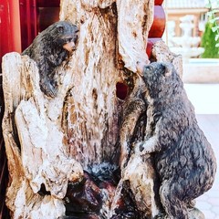 Гостевой комплекс Алмаз, Ахтубинск, Астраханская область