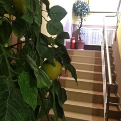 Гостевой комплекс Алмаз, Ахтубинск, Астраханская область