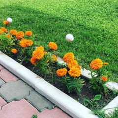 Гостевой комплекс Алмаз, Ахтубинск, Астраханская область