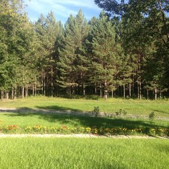 База отдыха Сосновый бор, Ачинск, Красноярский край