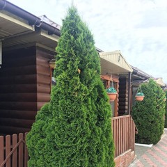 Гостевой комплекс Алмаз, Ахтубинск, Астраханская область