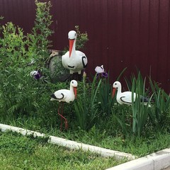 Гостевой комплекс Алмаз, Ахтубинск, Астраханская область