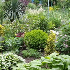 Гостевой дом MiVera, Аше, Краснодарский край