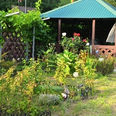 Гостевой дом Репина 4, Аше, Краснодарский край