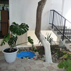 Гостевой дом Маяк, Аше, Краснодарский край