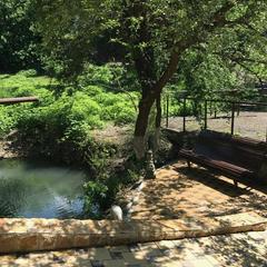 Гостевой дом Звезда, Аше, Краснодарский край