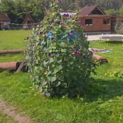 Турбаза Парк-Отель Время Счастья, Ая, Алтайский край