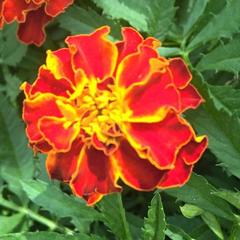 Турбаза Парк-Отель Время Счастья, Ая, Алтайский край