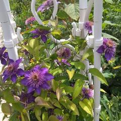 Турбаза Парк-Отель Время Счастья, Ая, Алтайский край