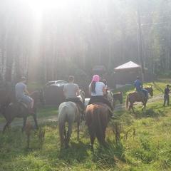 База отдыха Сказка, Ая, Алтайский край