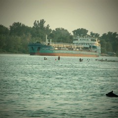 База отдыха Дача Адмирал, Багаевская, Ростовская область