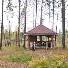 Парк-отель Парк-Отель Вепское Поместье, Байкальск, Иркутская область