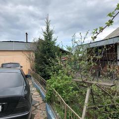 Гостевой дом Березовый, Байкальск, Иркутская область