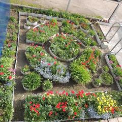 Гостевой дом Береза, Байкальск, Иркутская область