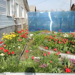 Гостевой дом Береза, Байкальск, Иркутская область