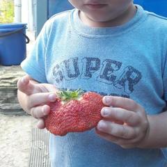 Гостевой дом Береза, Байкальск, Иркутская область