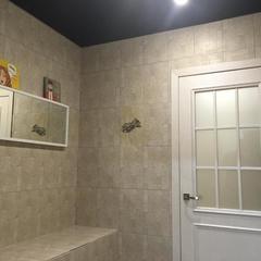 Мини-отель Сильвер, Балашиха, Московская область