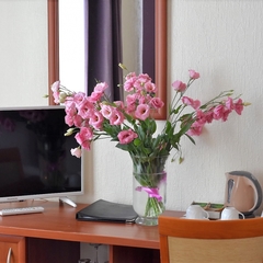 Гостиница Даккар, Балаклава (Крым), Крым