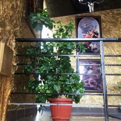 Отель Hotel Arbat, Батайск, Ростовская область