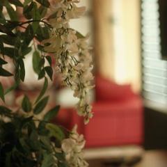 Отель Восход, Белгород, Белгородская область