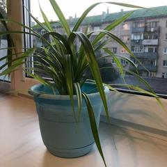 Отель Восход, Белгород, Белгородская область