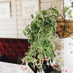 Гостинично-ресторанный комплекс Веретено, Белгород, Белгородская область