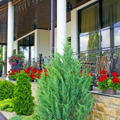 Гостиница Аустерия, Белгород, Белгородская область