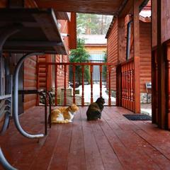 Комплекс отдыха Михайловская, Беличье, Ленинградская область