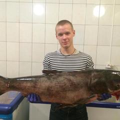 Гостиница Sea Side, Белозерск, Вологодская область