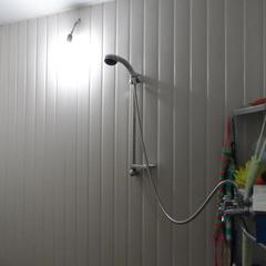 Гостевой дом Солнышко, Белозерск, Вологодская область