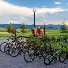 Парк-отель Парк-Отель Алтай Грин, Белокуриха, Республика Алтай