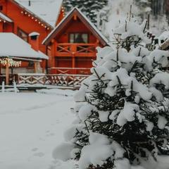 Эко-отель Ручьи у Дачи, Белокуриха, Республика Алтай