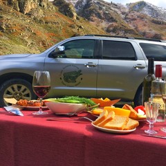 Гостиничный комплекс Комплекс апартаментов Золото Алтая, Белокуриха, Республика Алтай