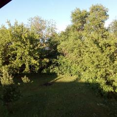 Гостевой дом Ковчег, Белокуриха, Республика Алтай