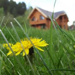 Эко-отель Ручьи у Дачи, Белокуриха, Республика Алтай