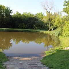 Гостевой дом Ковчег, Белокуриха, Республика Алтай