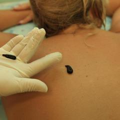 Санаторий Белокур, Белокуриха, Республика Алтай