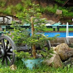 База семейного отдыха Шале Яковка, Белокуриха, Республика Алтай