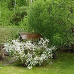 Санаторий Белокур, Белокуриха, Республика Алтай