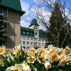Санаторий Алтай-West, Белокуриха, Республика Алтай