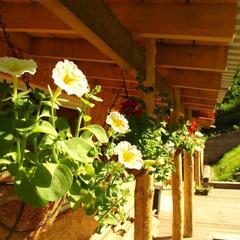 Гостевой дом Усадьба Жар-Птица, Белокуриха, Республика Алтай