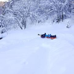 Гостевой дом Усадьба Жар-Птица, Белокуриха, Республика Алтай