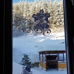 Гостевой дом Усадьба Жар-Птица, Белокуриха, Республика Алтай