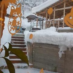 Гостевой дом Усадьба Жар-Птица, Белокуриха, Республика Алтай